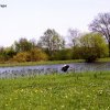 foto02
