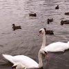 foto41