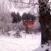 foto50