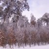 foto53