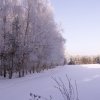 foto54