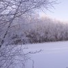 foto55
