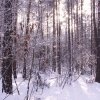 foto56