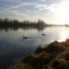 foto61